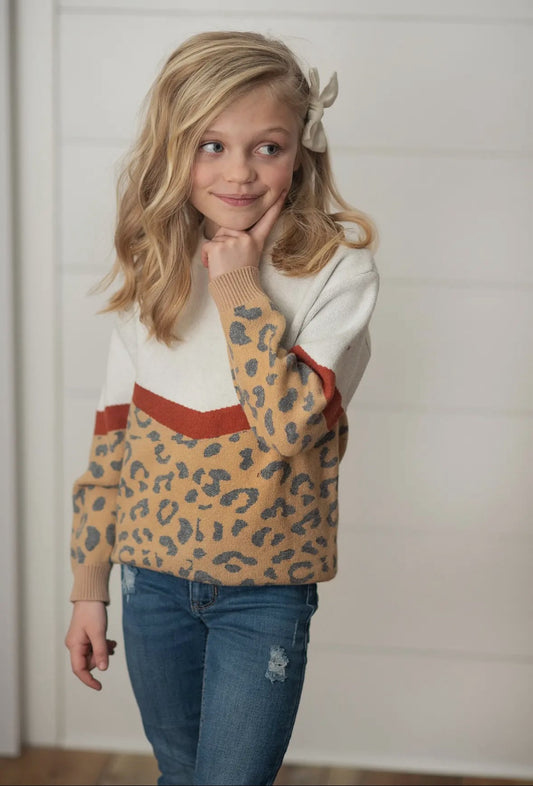 Leopard Rust V Color Block Sweater